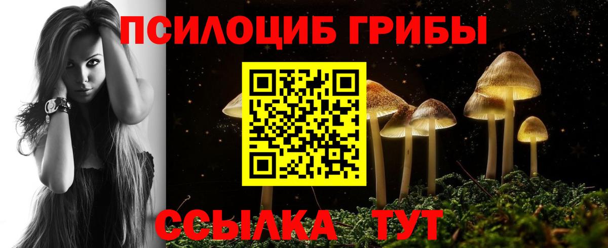 Уссурийск  Галлюциногенные грибы Cubensis  Псилоцибиновые грибы Cubensis  наркота  Вход с VPN 