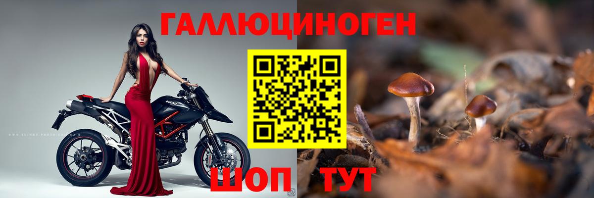 Галлюциногенные грибы ЛСД Уссурийск